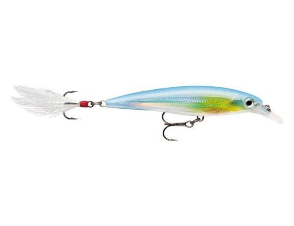 Rapala X-RAP cm. 8