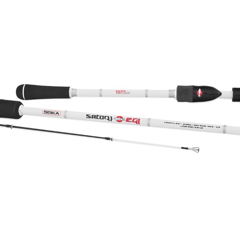 Canna Da Pesca Eging Jatsui Lulas - Foto 2