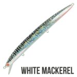 WHITE MACKEREL