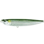 TARPON