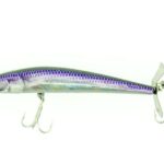 PURPLE ALBINO SHAD