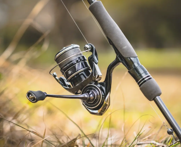 DAIWA 23 TATULA MQ LT - immagine 7