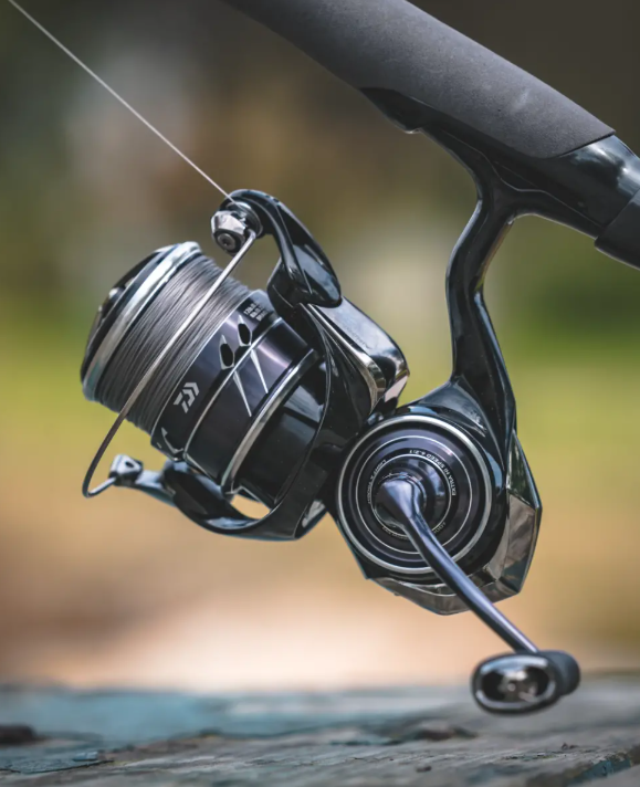DAIWA 23 TATULA MQ LT - immagine 5