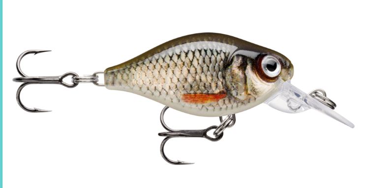 RAPALA X-LIGHT CRANK MID RUNNER - immagine 2