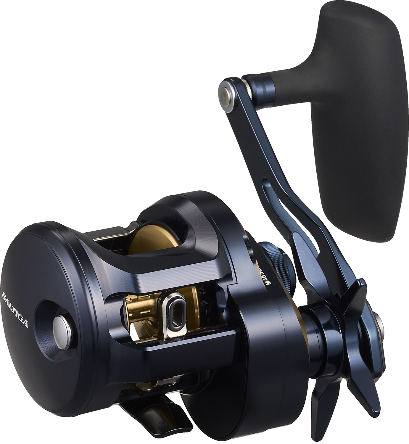 DAIWA 25 SALTIGA 300