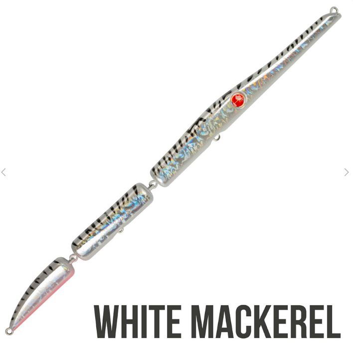 SEASPIN STREGA 257 - immagine 7