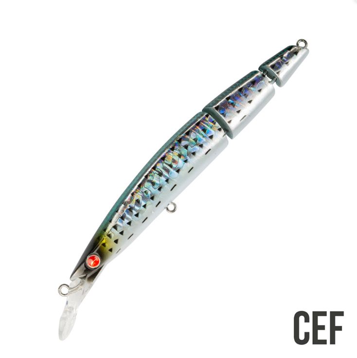 SEASPIN BUGINU 115 BIU - immagine 5