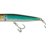 BROWN BACK PREY FISH