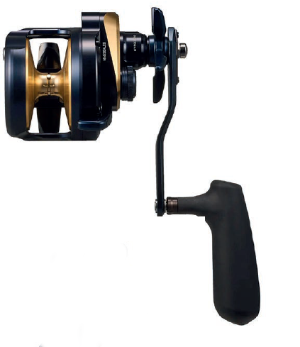 DAIWA 25 SALTIGA - immagine 3