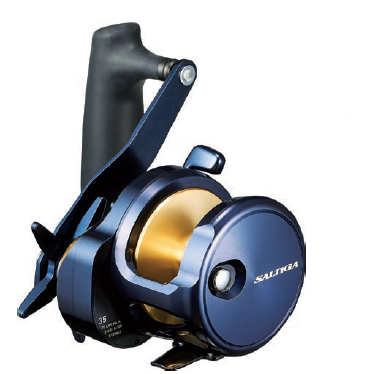 DAIWA 25 SALTIGA - immagine 2